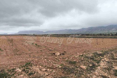 Helårsgrund i Yecla, Murcia, Yecla - € 47.000 | Ref: SF0566 - foto 7